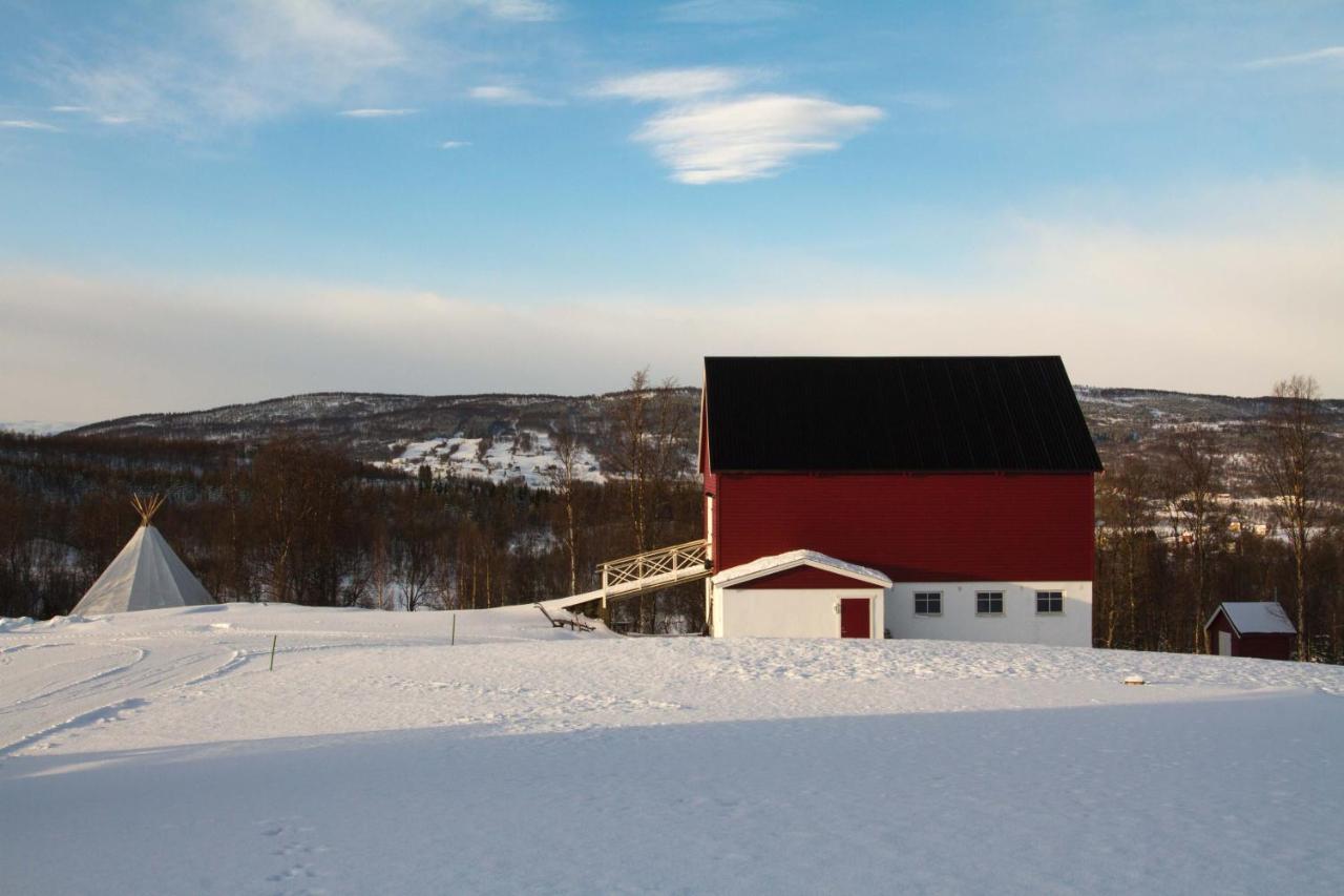 Aurora Borealis Observatory Silsand Exterior photo