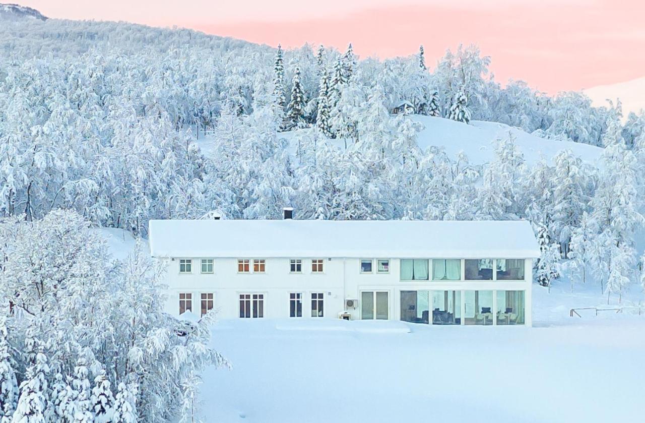 Aurora Borealis Observatory Silsand Exterior photo